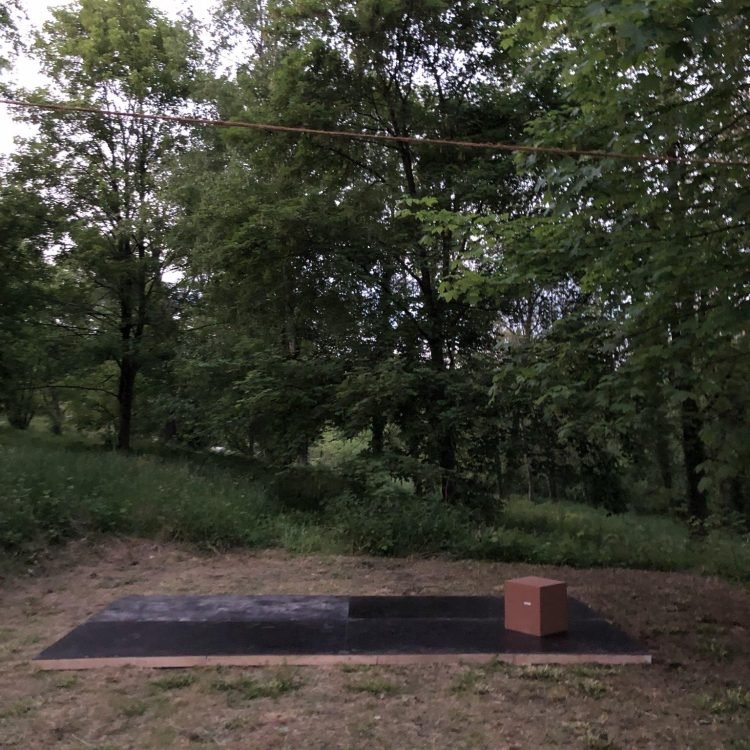 2023-clairiere-foret-canopee
