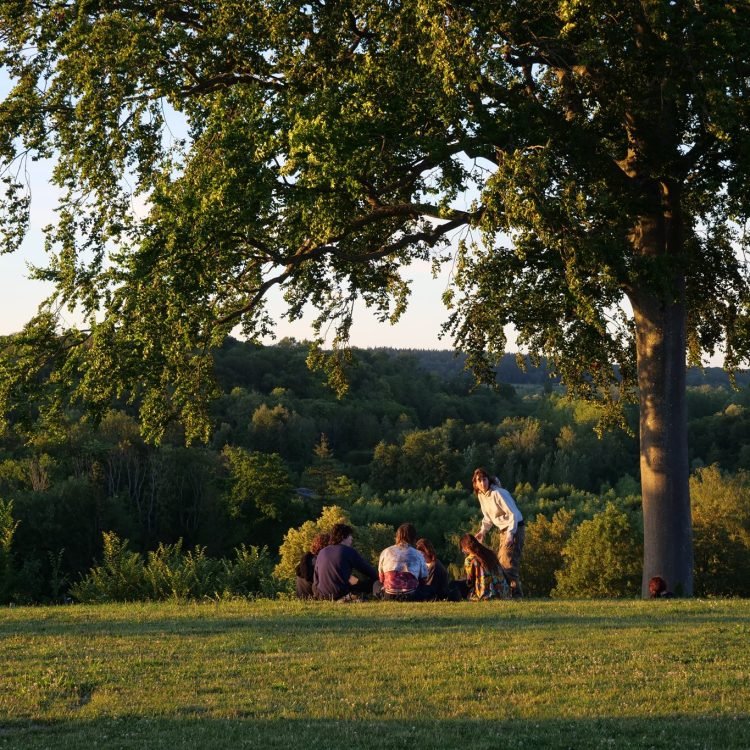2026-arbres-prairie-public